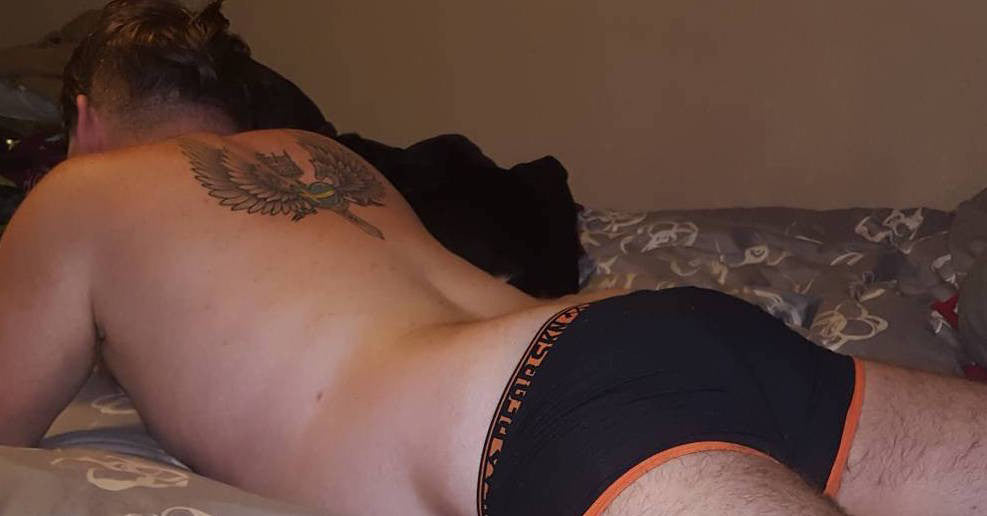 BEAR SKN INSTA-FANS JAXON